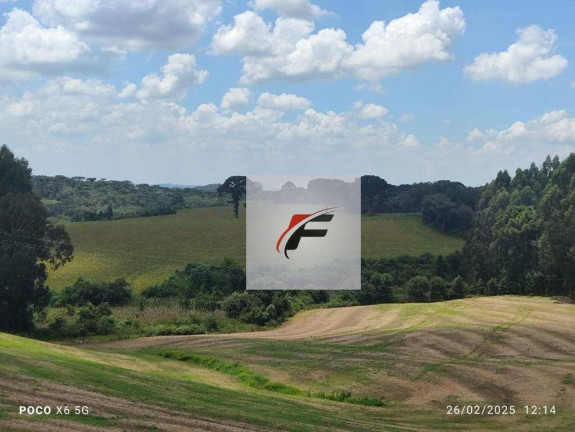 Imagem Fazenda à Venda, 695.266 m² em Zona Rural - Quitandinha Imagem Fazenda à Venda, 695.266 m² em Zona Rural - Quitandinha