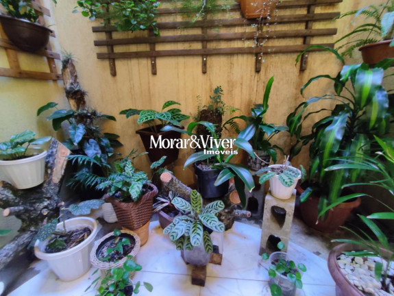 Imagem Sobrado com 3 Quartos à Venda, 142 m² em Sitio Cercado - Curitiba Imagem Sobrado com 3 Quartos à Venda, 142 m² em Sitio Cercado - Curitiba