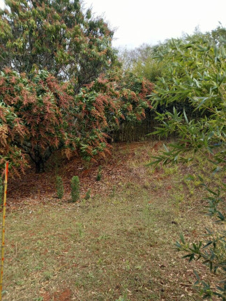 Imagem Chácara com 2 Quartos à Venda, 800 m² em Tanque - Atibaia Imagem Chácara com 2 Quartos à Venda, 800 m² em Tanque - Atibaia