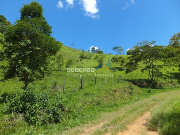 Imagem Imóvel com 4 Quartos à Venda, 1.016.400 m² em Providência - Teresópolis Imagem Imóvel com 4 Quartos à Venda, 1.016.400 m² em Providência - Teresópolis