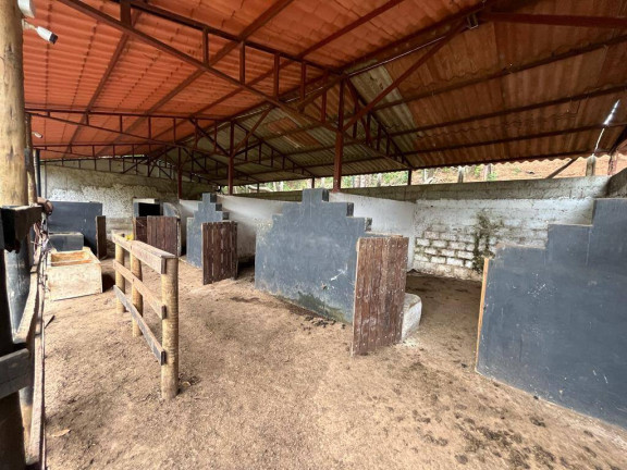 Imagem Chácara com 4 Quartos à Venda, 16 m² em Batatal - Igarapé Imagem Chácara com 4 Quartos à Venda, 16 m² em Batatal - Igarapé