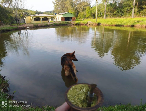Imagem Chácara com 4 Quartos à Venda, 10.000 m² em Fiuza - Viamão
