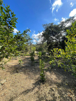 Imagem Chácara com 2 Quartos à Venda, 7.800 m² em Quintas Da Capela Nova - Itatiaiuçu Imagem Chácara com 2 Quartos à Venda, 7.800 m² em Quintas Da Capela Nova - Itatiaiuçu