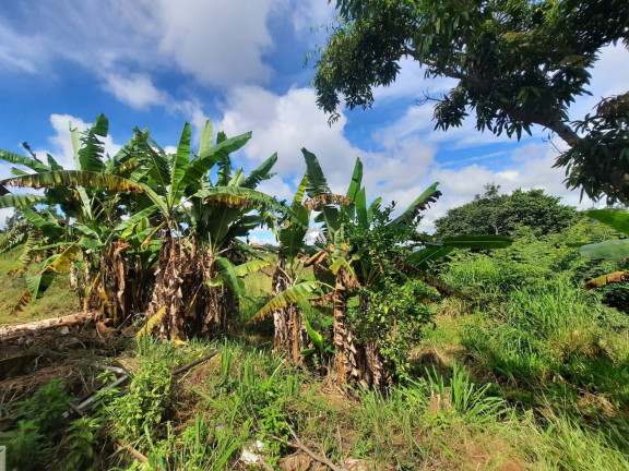 Imóvel com 3 Quartos à Venda, 1 m² em área Rural De Itaúna - Itaúna