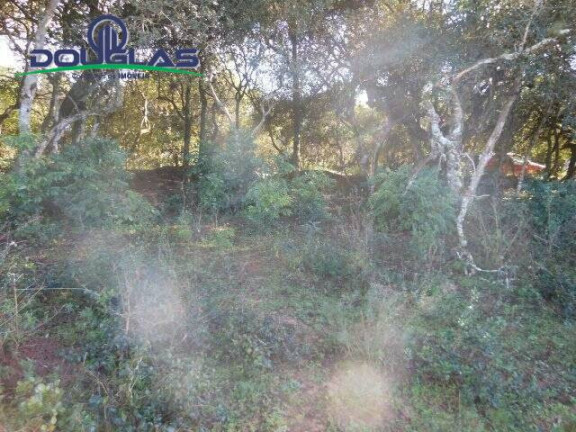 Imagem Terreno à Venda, 600 m² em águas Claras - Viamão