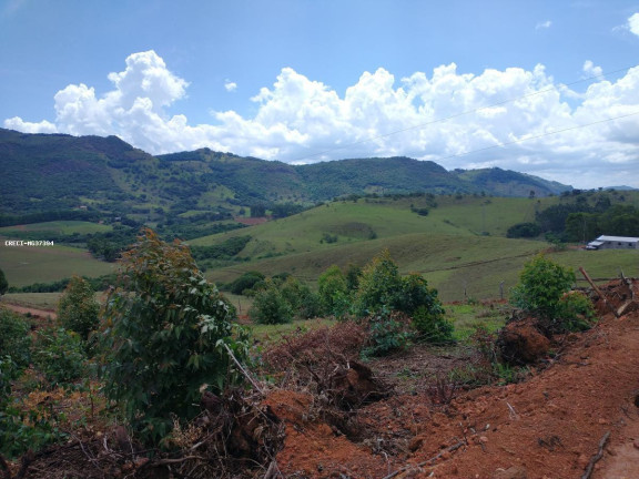 Imagem Terreno à Venda, 575 m² em Br459 - Caldas Imagem Terreno à Venda, 575 m² em Br459 - Caldas