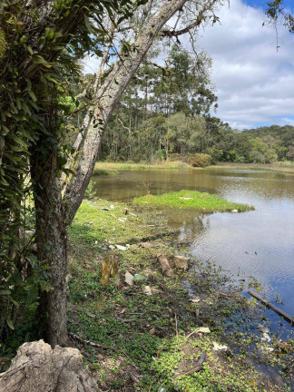 Chácara à Venda, 44.711 m² em Itajacuru - Colombo