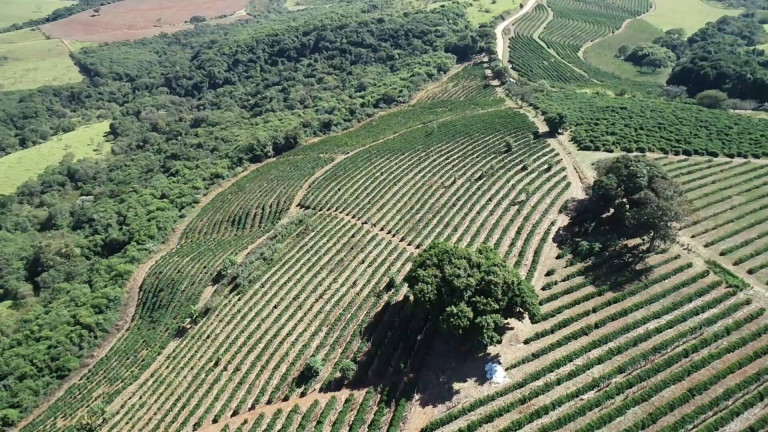 Imagem Fazenda à Venda, 31 m² em Poços De Caldas Imagem Fazenda à Venda, 31 m² em Poços De Caldas