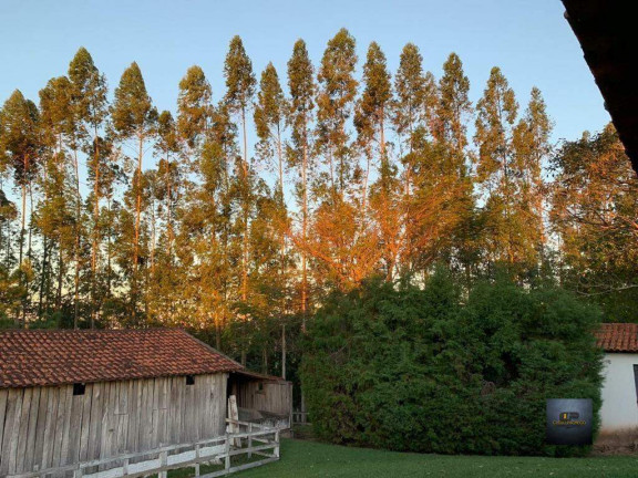 Imagem Imóvel com 5 Quartos à Venda, 72.600 m² em água Funda - Torre De Pedra Imagem Imóvel com 5 Quartos à Venda, 72.600 m² em água Funda - Torre De Pedra