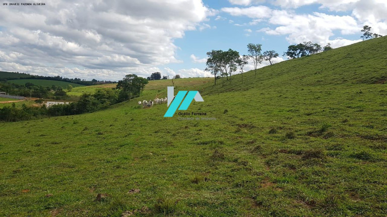Imagem Fazenda à Venda, 128 m² em Zona Rural - Oliveira Imagem Fazenda à Venda, 128 m² em Zona Rural - Oliveira