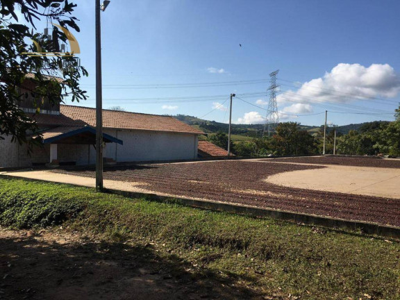 Imagem Fazenda à Venda, 968.000 m² em São Luis - Jacutinga