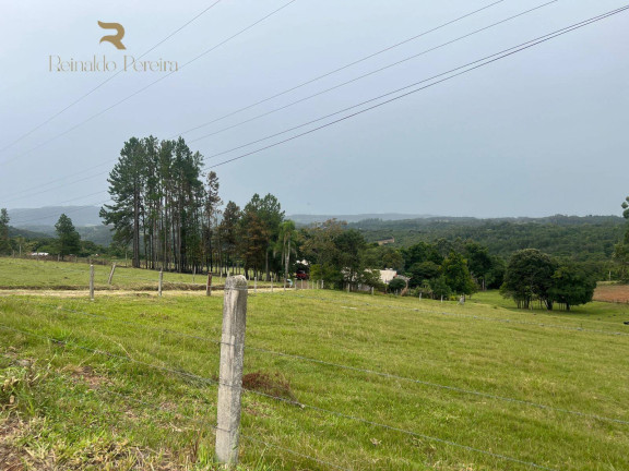 Imagem Chácara com 2 Quartos à Venda, 32.000 m² em Fazenda Fialho - Taquara Imagem Chácara com 2 Quartos à Venda, 32.000 m² em Fazenda Fialho - Taquara