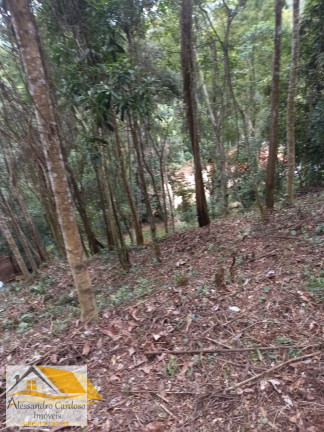 Imagem Terreno à Venda, 1.073 m² em Perissê - Nova Friburgo Imagem Terreno à Venda, 1.073 m² em Perissê - Nova Friburgo
