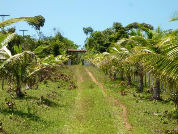 Imagem Imóvel à Venda, em Aderno - Ilhéus Imagem Imóvel à Venda, em Aderno - Ilhéus