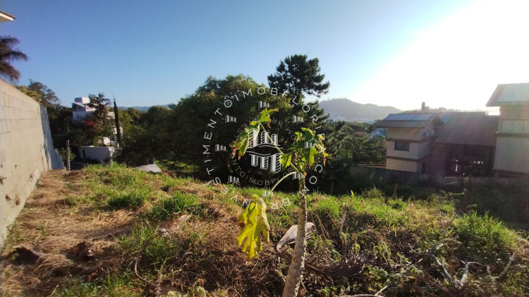 Imagem Terreno à Venda, 757 m² em João Paulo - Florianópolis Imagem Terreno à Venda, 757 m² em João Paulo - Florianópolis