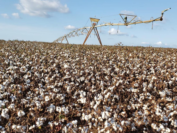 Imagem Fazenda à Venda, 2.178 m² em Rural - Itaí