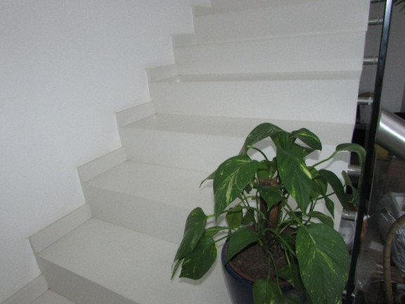 Imagem Sobrado com 3 Quartos à Venda, 250 m² em Jardim Village Saint Claire - Sorocaba Imagem Sobrado com 3 Quartos à Venda, 250 m² em Jardim Village Saint Claire - Sorocaba