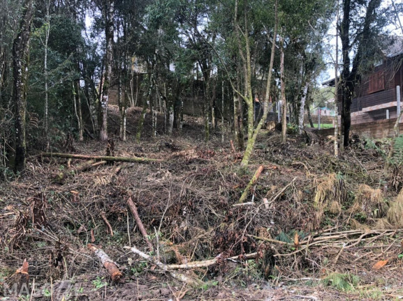 Imagem Terreno à Venda, 422 m² em Mato Queimado - Gramado Imagem Terreno à Venda, 422 m² em Mato Queimado - Gramado