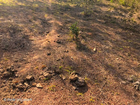 Imagem Imóvel Comercial à Venda, 240.000 m² em Piedade Do Paraopeba - Brumadinho Imagem Imóvel Comercial à Venda, 240.000 m² em Piedade Do Paraopeba - Brumadinho