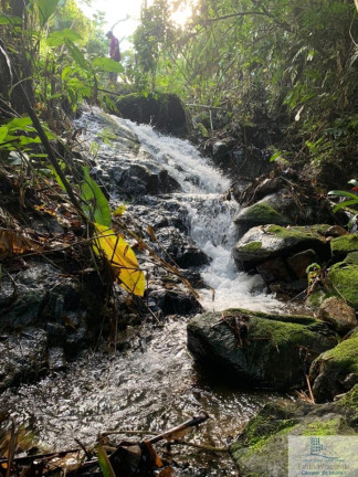 Imagem Chácara à Venda, 126.000 m² em Centro (rio Rosinha) - Rio Dos Cedros
