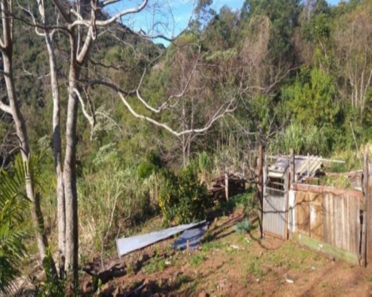 Imagem Imóvel com 3 Quartos à Venda, 65 m² em Fazenda Pirajá - Nova Petrópolis Imagem Imóvel com 3 Quartos à Venda, 65 m² em Fazenda Pirajá - Nova Petrópolis