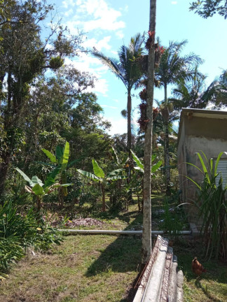 Imagem Chácara com 4 Quartos à Venda, 5.000 m² em Jardim Aguapeú - Itanhaém Imagem Chácara com 4 Quartos à Venda, 5.000 m² em Jardim Aguapeú - Itanhaém