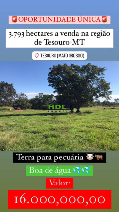 Imagem Fazenda à Venda,  em Zona Rural - Tesouro
