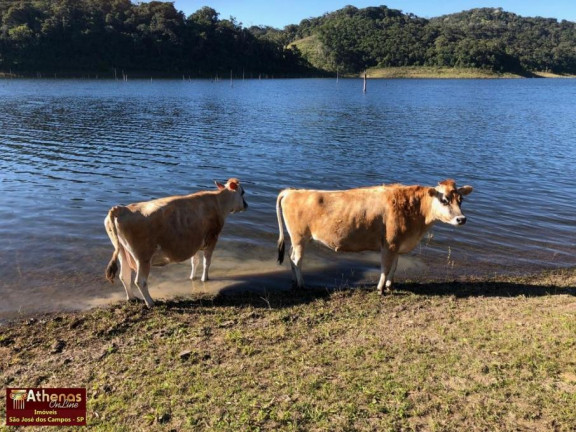 Imagem Imóvel com 3 Quartos à Venda, 200 m² em Rio Pardo - Paraibuna Imagem Imóvel com 3 Quartos à Venda, 200 m² em Rio Pardo - Paraibuna