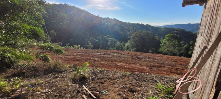 Imagem Imóvel com 2 Quartos à Venda, 40.000 m² em Ilhota - Ilhota