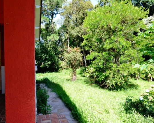 Imagem Imóvel com 4 Quartos à Venda, em Piá - Nova Petrópolis Imagem Imóvel com 4 Quartos à Venda, em Piá - Nova Petrópolis