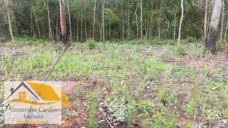 Imagem Terreno à Venda, 18.000 m² em Campo Do Coelho - Nova Friburgo Imagem Terreno à Venda, 18.000 m² em Campo Do Coelho - Nova Friburgo
