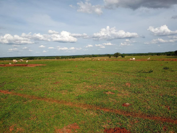 Imagem Fazenda à Venda, 2.027 m² em Rural - Campo Grande