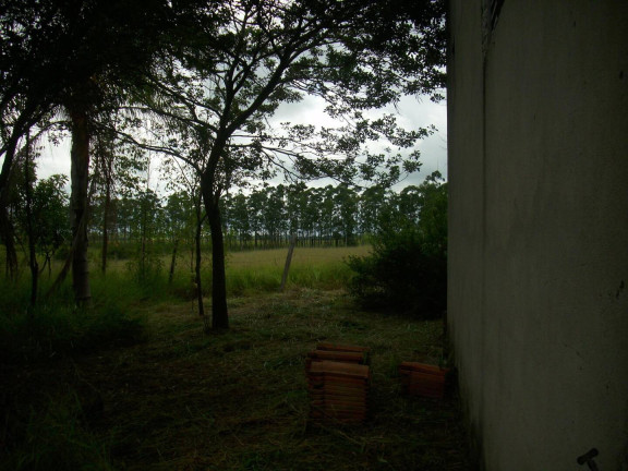 Imagem Chácara com 1 Quarto à Venda, 1.000 m² em Estância Irene - Porangaba Imagem Chácara com 1 Quarto à Venda, 1.000 m² em Estância Irene - Porangaba