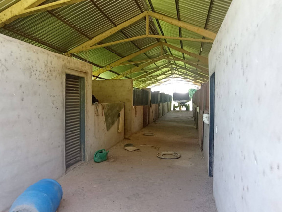 Imagem Fazenda à Venda, 950 m² em Cuiabá Imagem Fazenda à Venda, 950 m² em Cuiabá