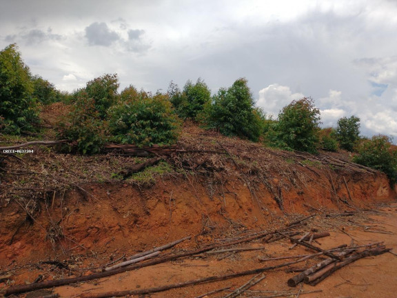 Imagem Terreno à Venda, 575 m² em Br459 - Caldas Imagem Terreno à Venda, 575 m² em Br459 - Caldas