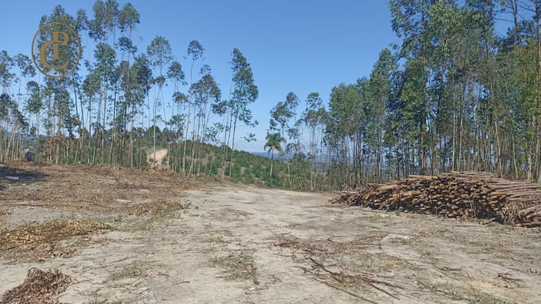 Fazenda à Venda, 300 m² em Centro - Salesópolis