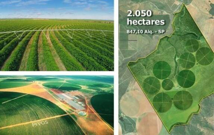 Imagem Chácara à Venda, em Zona Rural - Buritizeiro Imagem Chácara à Venda, em Zona Rural - Buritizeiro