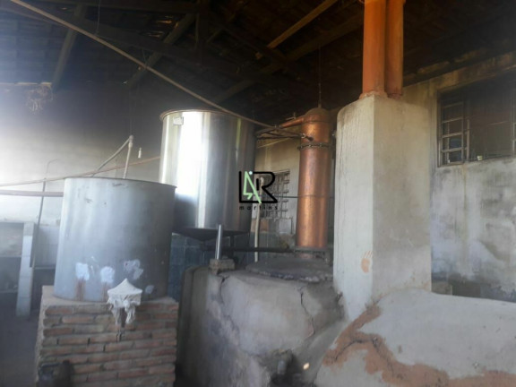 Imagem Imóvel com 4 Quartos à Venda, 250.000 m² em Centro - Caetanópolis