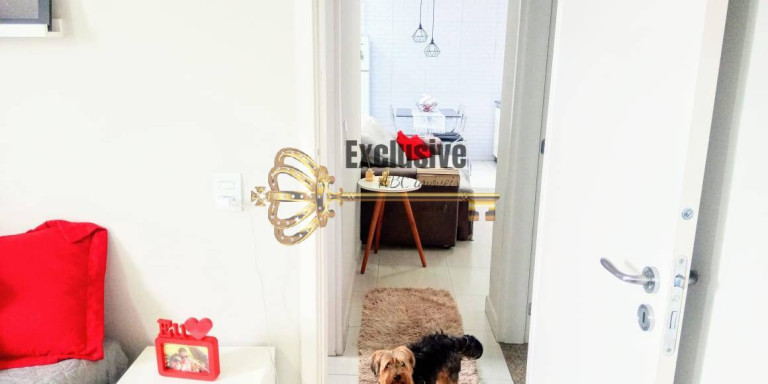 Imagem Apartamento com 2 Quartos à Venda, 59 m² em Santa Maria - Santo André Imagem Apartamento com 2 Quartos à Venda, 59 m² em Santa Maria - Santo André