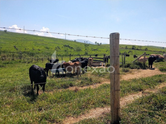 Imagem Fazenda à Venda, 150 m² em Marambaia - Caçapava Imagem Fazenda à Venda, 150 m² em Marambaia - Caçapava