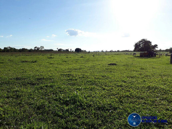 Imagem Fazenda à Venda, 31 m² em Zona Rural - Niquelândia Imagem Fazenda à Venda, 31 m² em Zona Rural - Niquelândia