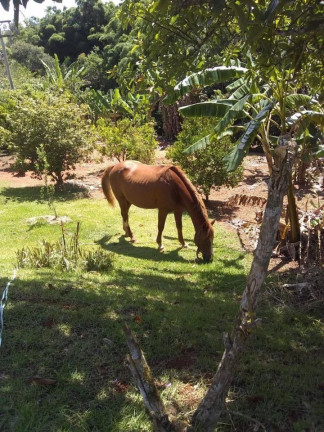 Chácara com 4 Quartos à Venda, 100 m² em Centro - São Luíz Do Paraitinga