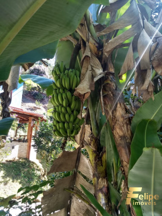 Imagem Casa com 4 Quartos à Venda, 270 m² em Domingos Martins - Domingos Martins