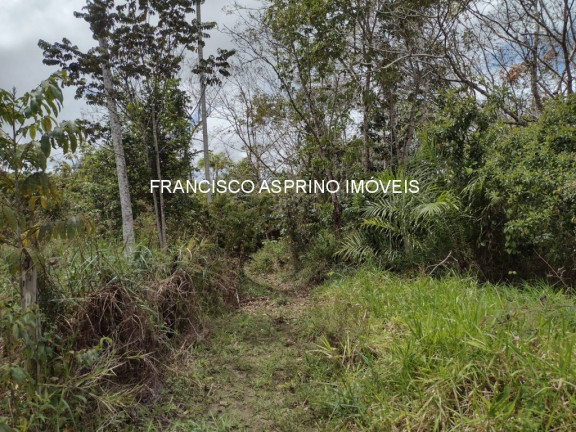 Imagem Imóvel à Venda, 2 m² em Serra Grande - Uruçuca Imagem Imóvel à Venda, 2 m² em Serra Grande - Uruçuca