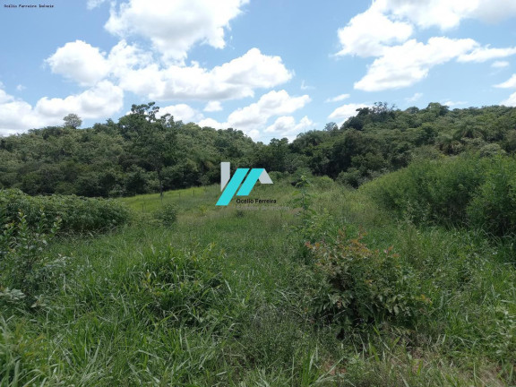 Imagem Fazenda à Venda, 2.500 m² em Serra Negra - Betim Imagem Fazenda à Venda, 2.500 m² em Serra Negra - Betim