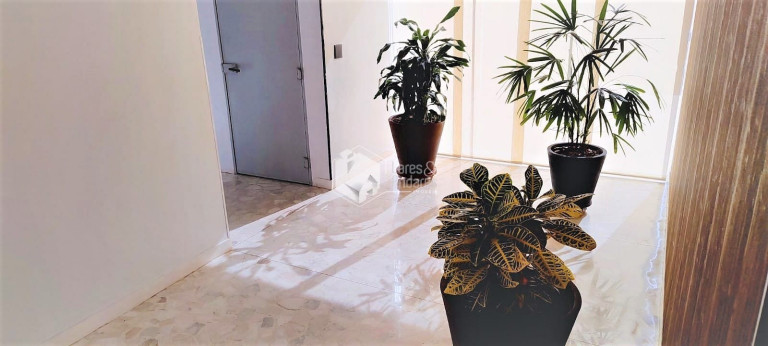 Imagem Apartamento com 2 Quartos à Venda, 59 m² em Perdizes - São Paulo Imagem Apartamento com 2 Quartos à Venda, 59 m² em Perdizes - São Paulo