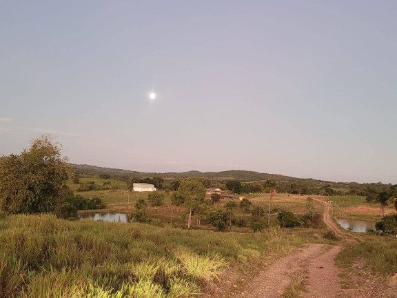 Imagem Fazenda à Venda, 52 m² em Zona Rural - Goiás Imagem Fazenda à Venda, 52 m² em Zona Rural - Goiás
