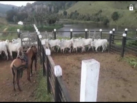 Imagem Imóvel à Venda, em área Rural - Ipiaú Imagem Imóvel à Venda, em área Rural - Ipiaú