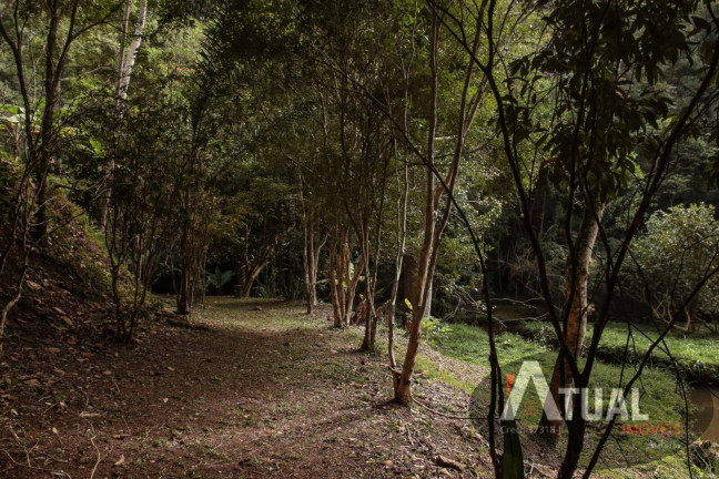 Imagem Chácara com 4 Quartos à Venda, 252 m² em Terra Preta - Mairiporã