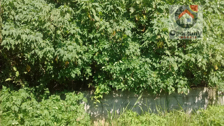 Imagem Terreno à Venda, 367 m² em Jardim Fortaleza - Guarulhos